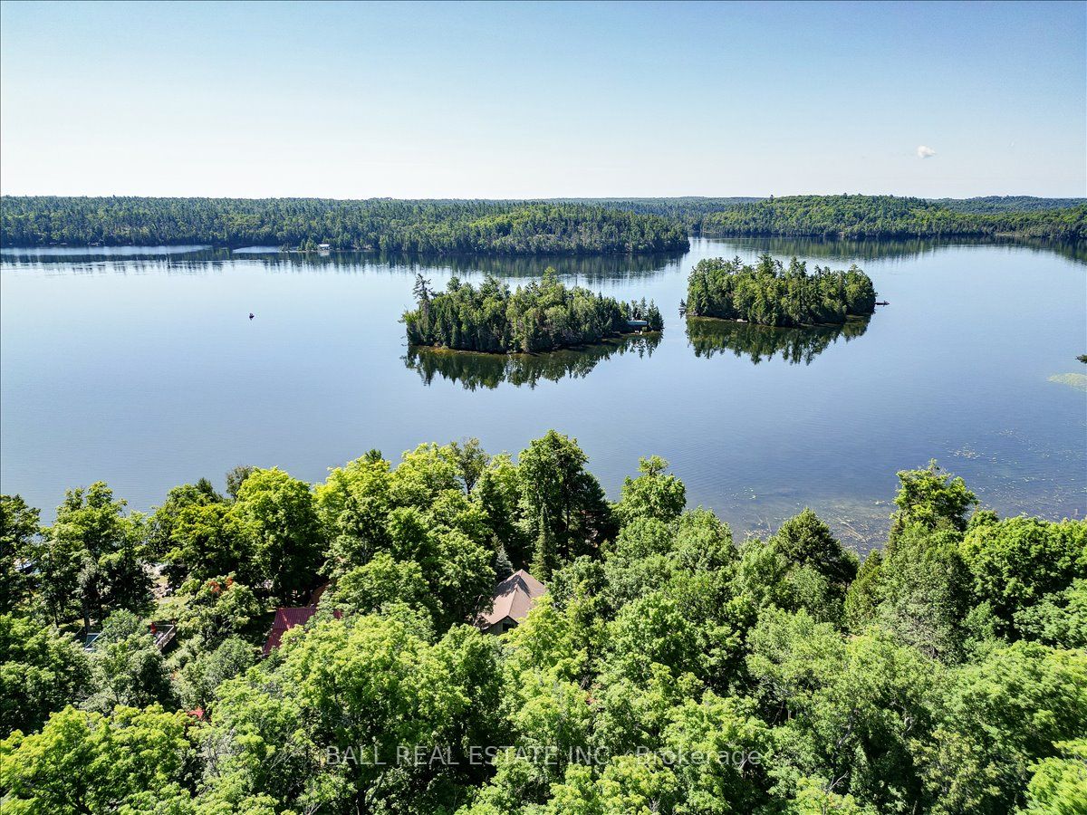 351 Limerick Lake Shore N, Limerick, ON K0L 1W0 photo 5
