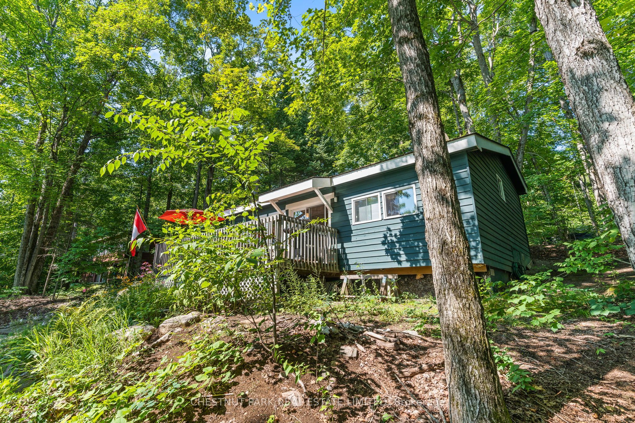 1184 Little Bob Lake Road, Minden Hills, ON K0M 2S0 photo 5