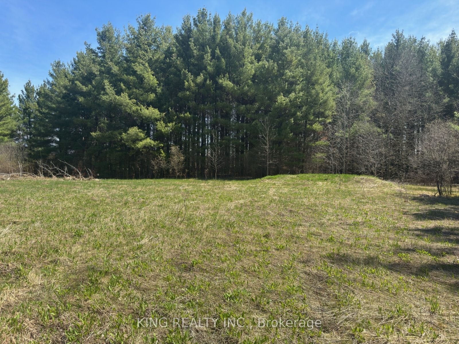 6081 Hwy 89, Clifford Road, Minto, ON N0G 1M0