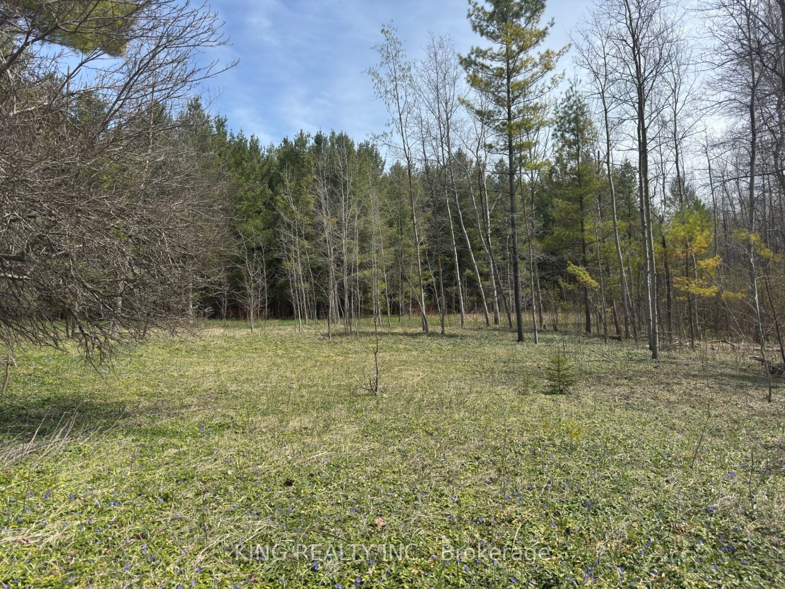 6081 Hwy 89, Clifford Road, Minto, ON N0G 1M0 photo 3