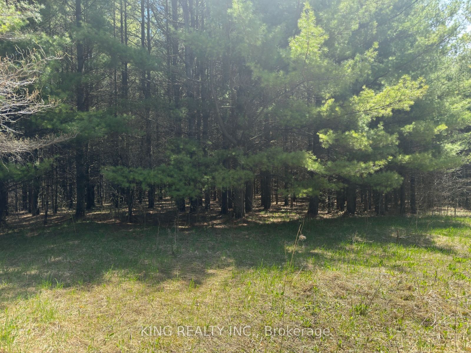 6081 Hwy 89, Clifford Road, Minto, ON N0G 1M0 photo 4