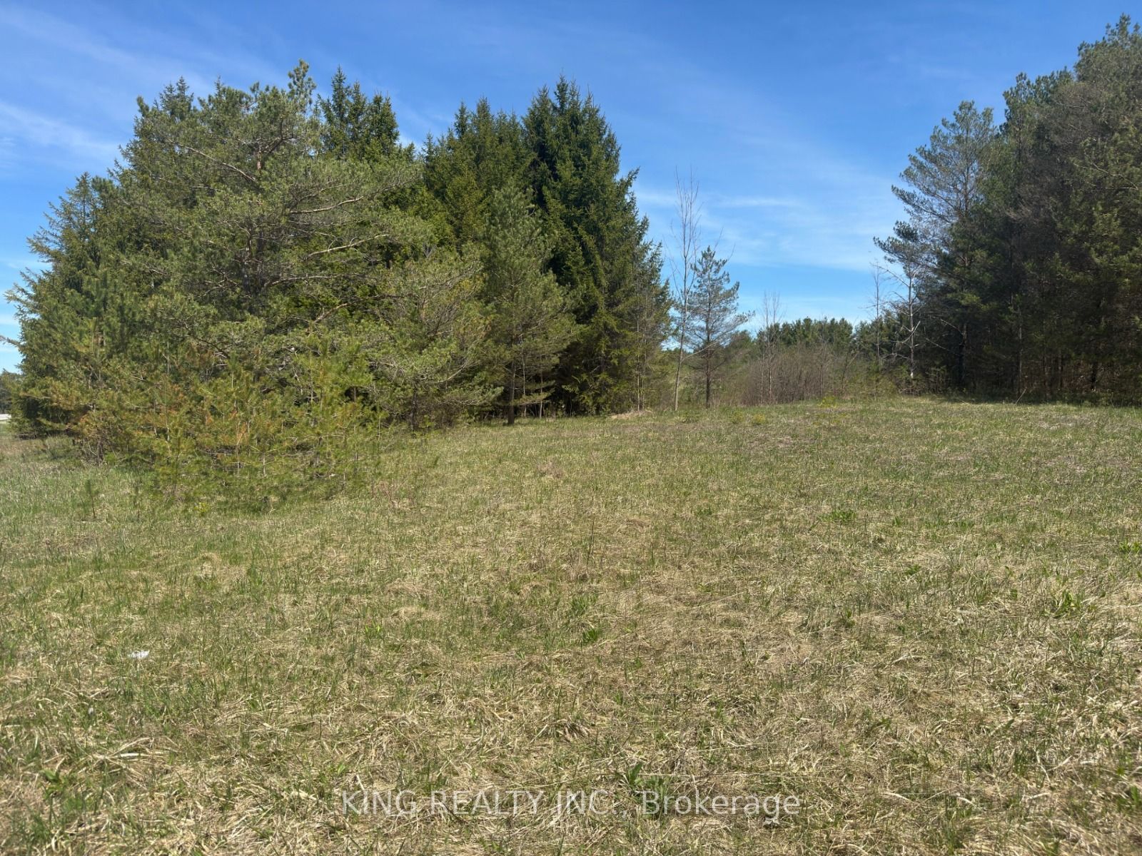 6081 Hwy 89, Clifford Road, Minto, ON N0G 1M0 photo 5