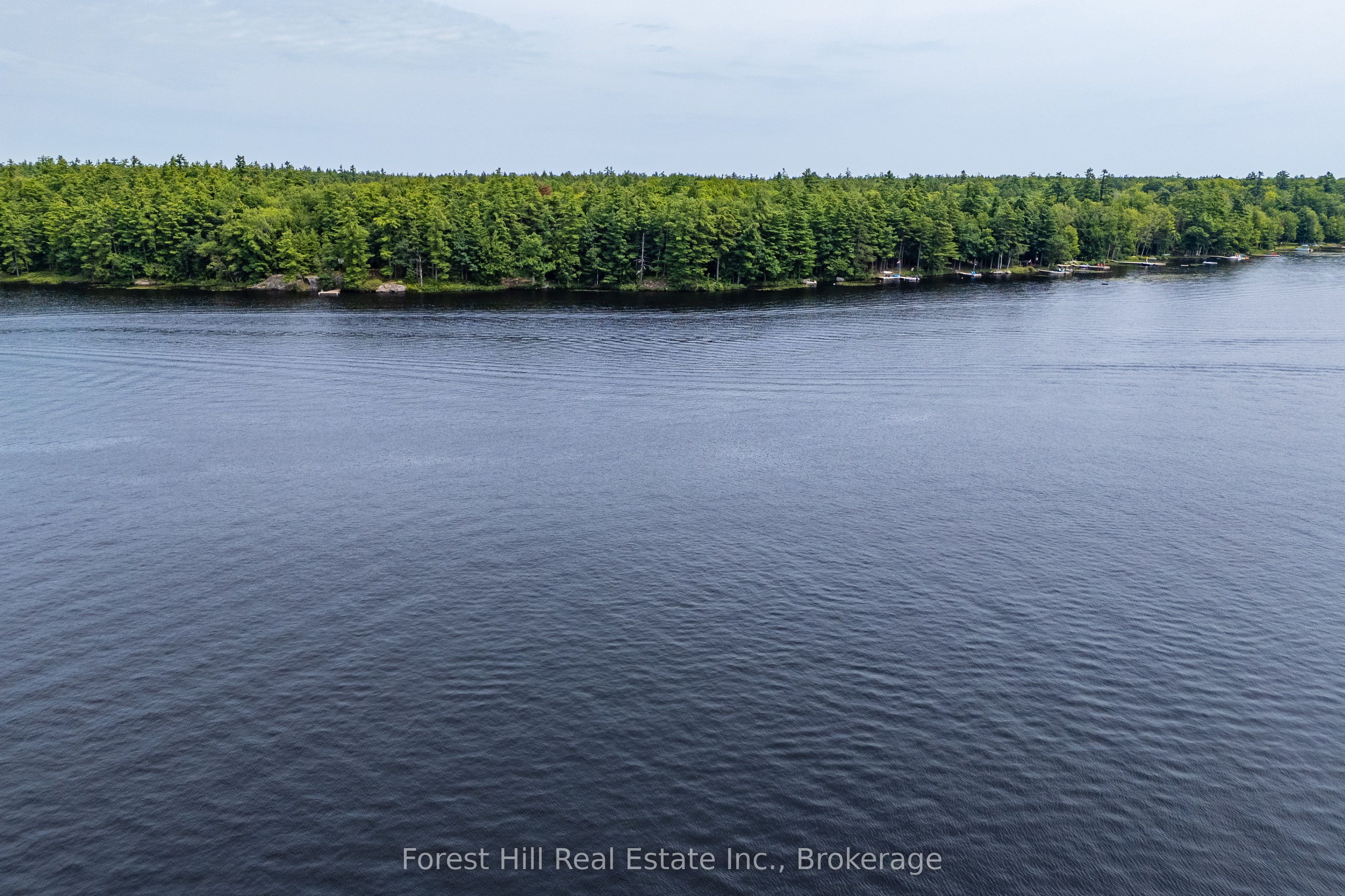 1048 West Black Lake Road, Muskoka Lakes, ON P0C 1M0 photo 4
