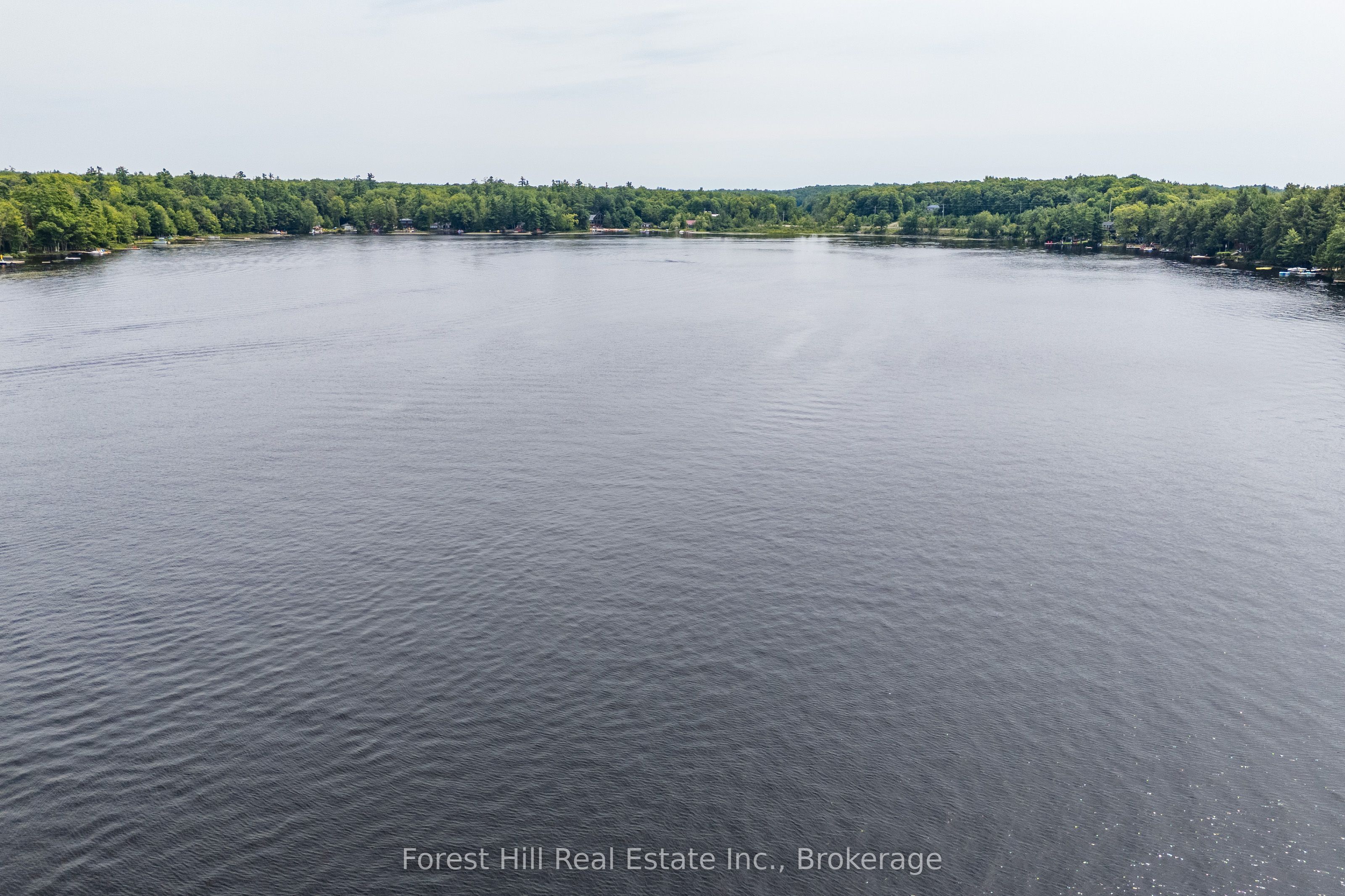 1048 West Black Lake Road, Muskoka Lakes, ON P0C 1M0 photo 5