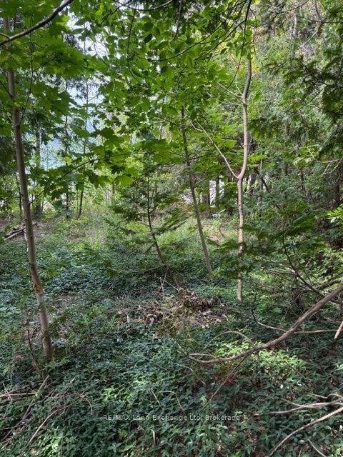 Lot 4 plan 590 Cedar Bank Lane W, Ashfield-Colborne-Wawanosh, ON N7A 3X9 photo 4