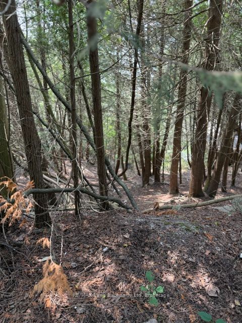Lot 4 plan 590 Cedar Bank Lane W, Ashfield-Colborne-Wawanosh, ON N7A 3X9 photo 5