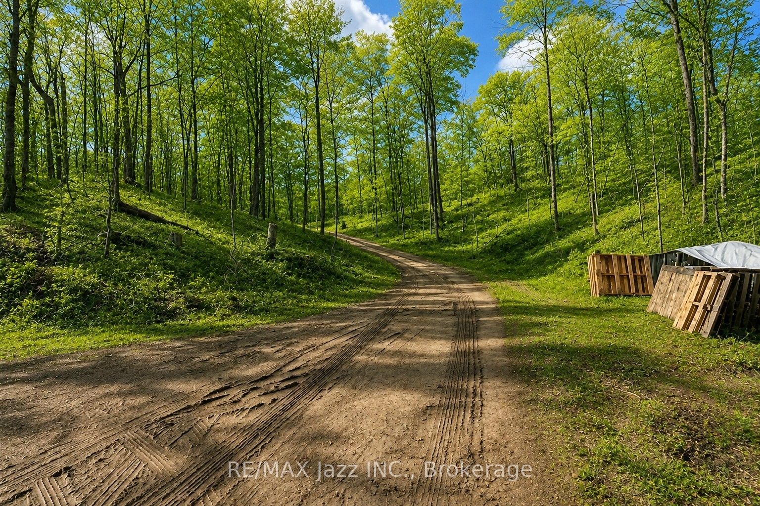 1091 Crystal Lake Road, Trent Lakes, ON K0M 2A0