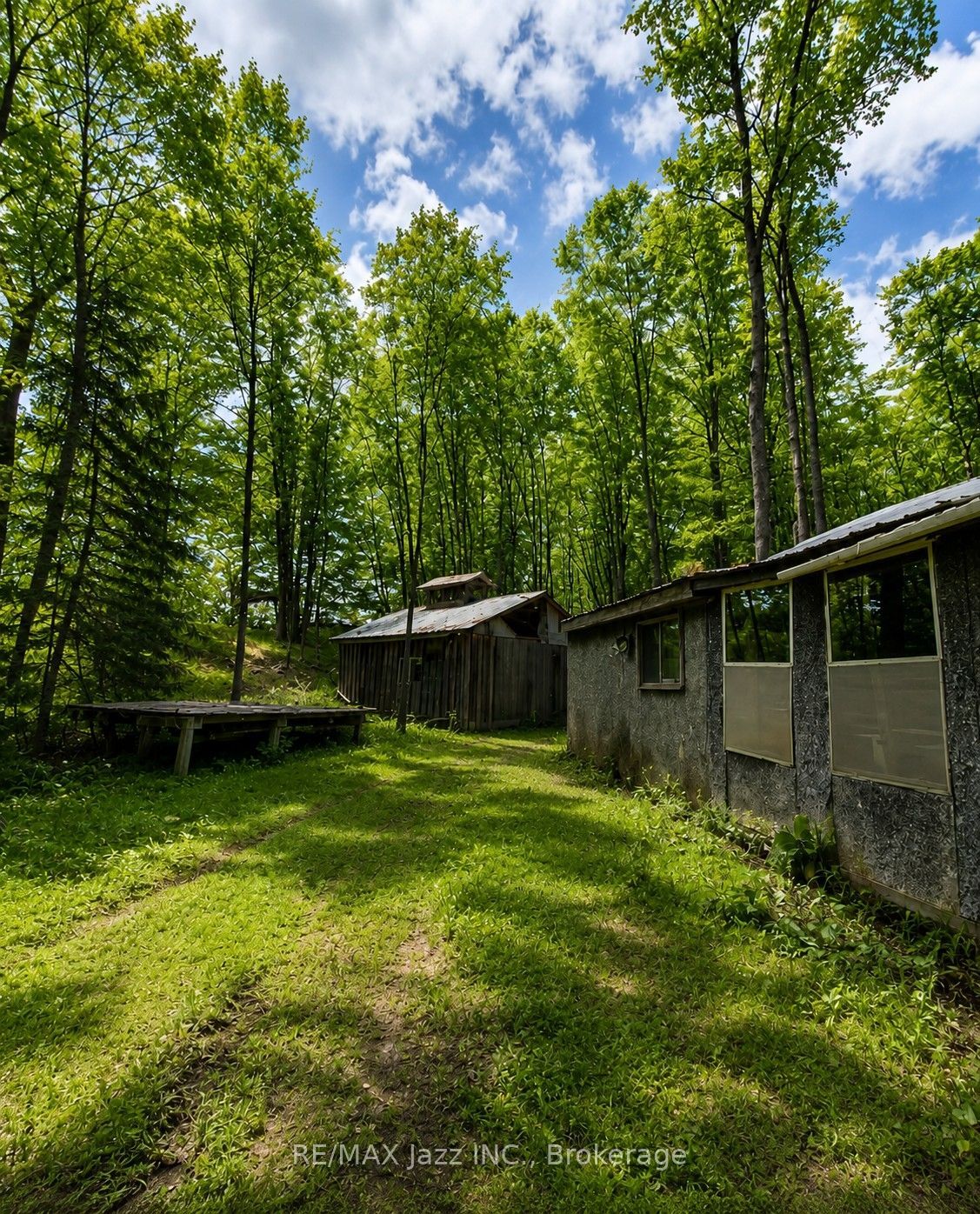 1091 Crystal Lake Road, Trent Lakes, ON K0M 2A0 photo 3