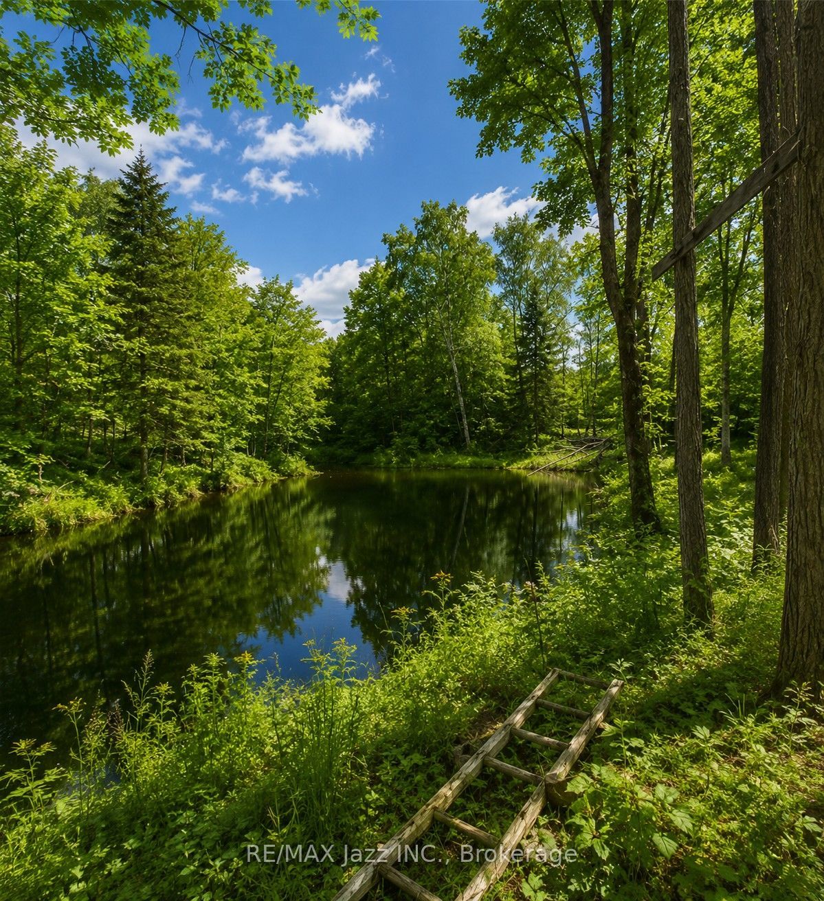 1091 Crystal Lake Road, Trent Lakes, ON K0M 2A0 photo 5