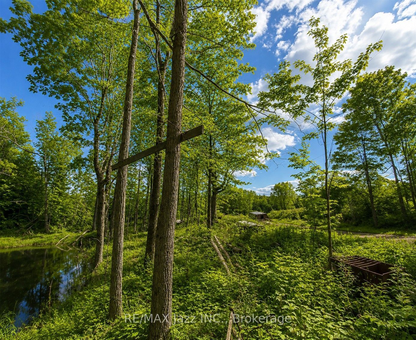 1091A Crystal Lake Road, Trent Lakes, ON K0M 3A0 photo 3