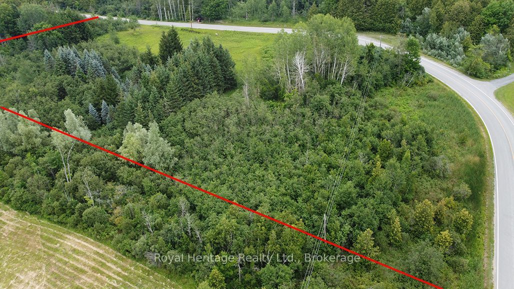None Hollowview RD Road N, Centre Hastings, ON K0K 3E0 photo 3