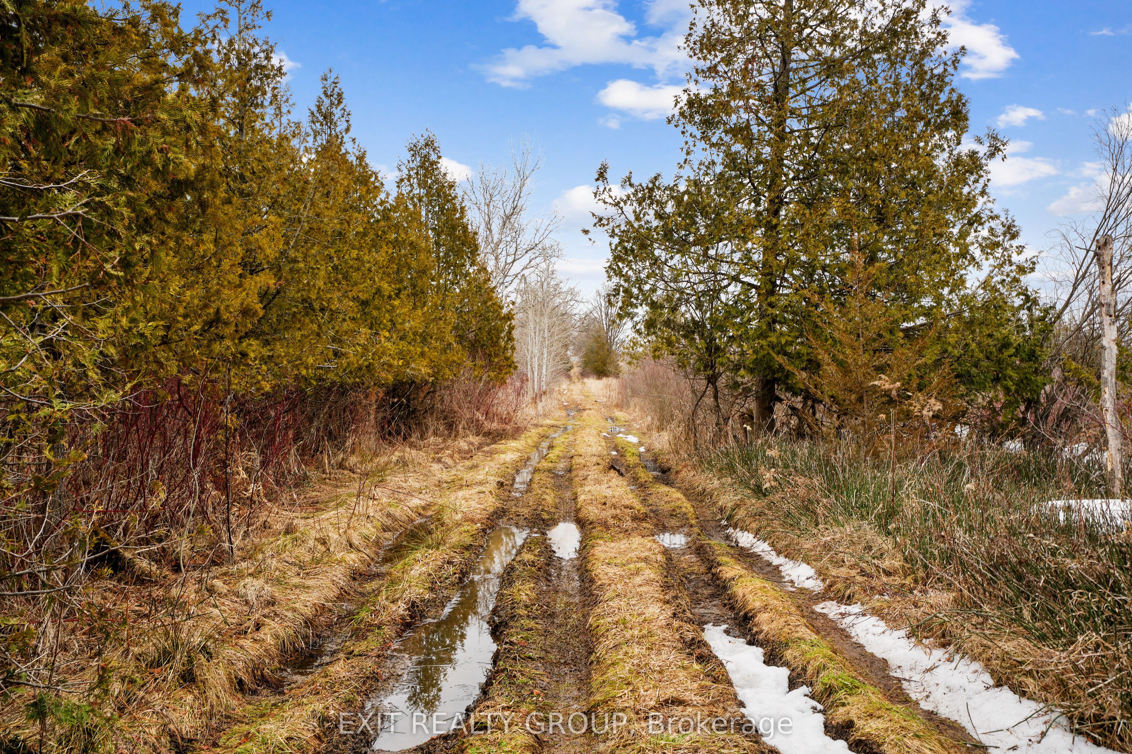 4006 Stirling Marmora Road, Stirling-Rawdon, ON K0K 3E0 photo 2