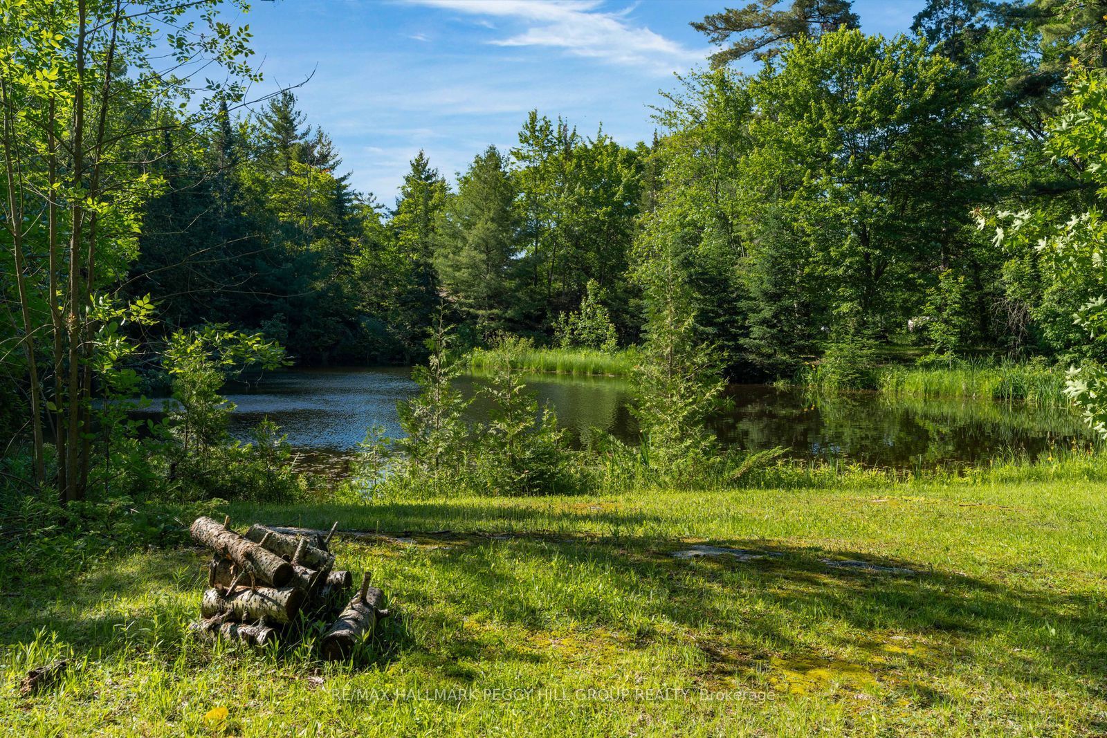 157 Baxter Loop Road, Georgian Bay, ON L0K 1S0 photo 4