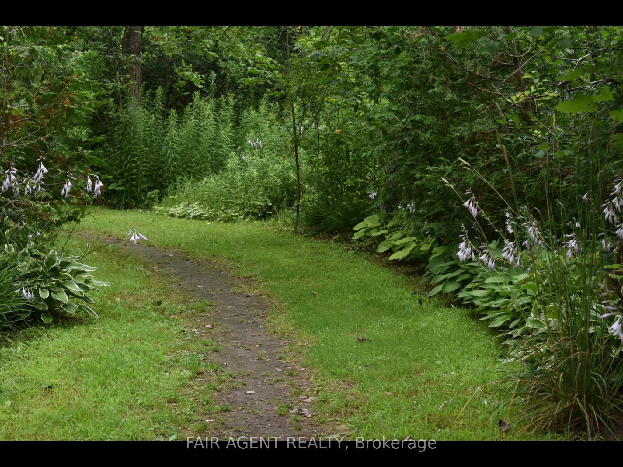 PT LT16 North Lunenburg Road W, South Stormont, ON K0C 1R0 photo 5