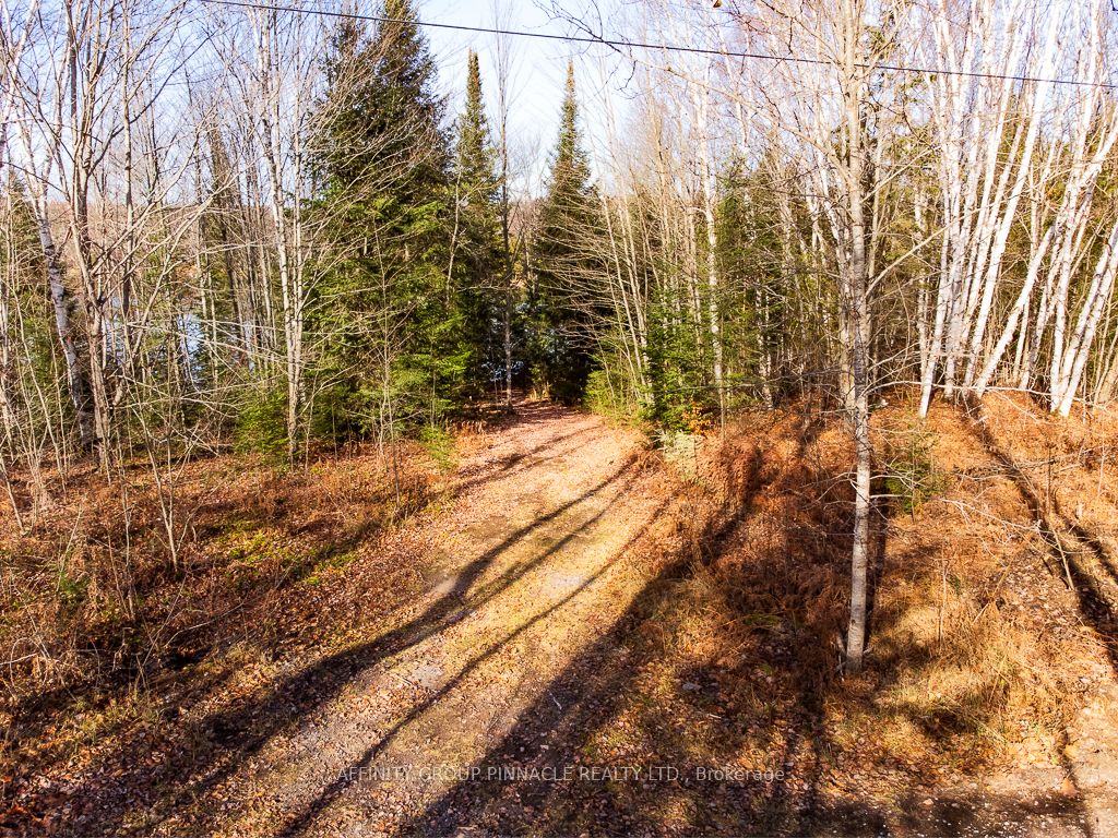 Lot 7 Comfort Drive, Highlands East, ON K0M 1R0 photo 3