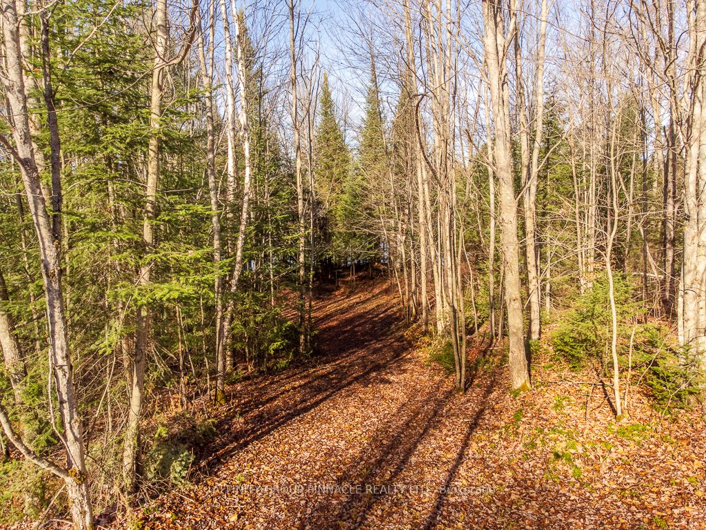 Lot 7 Comfort Drive, Highlands East, ON K0M 1R0 photo 4