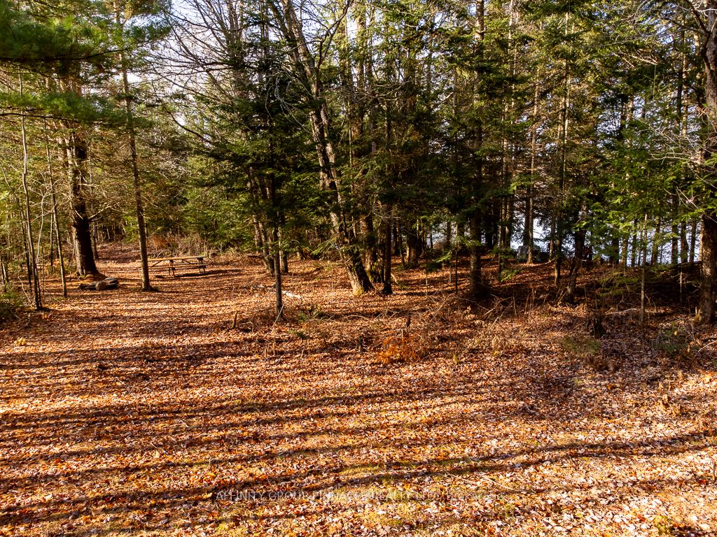 Lot 7 Comfort Drive, Highlands East, ON K0M 1R0 photo 5