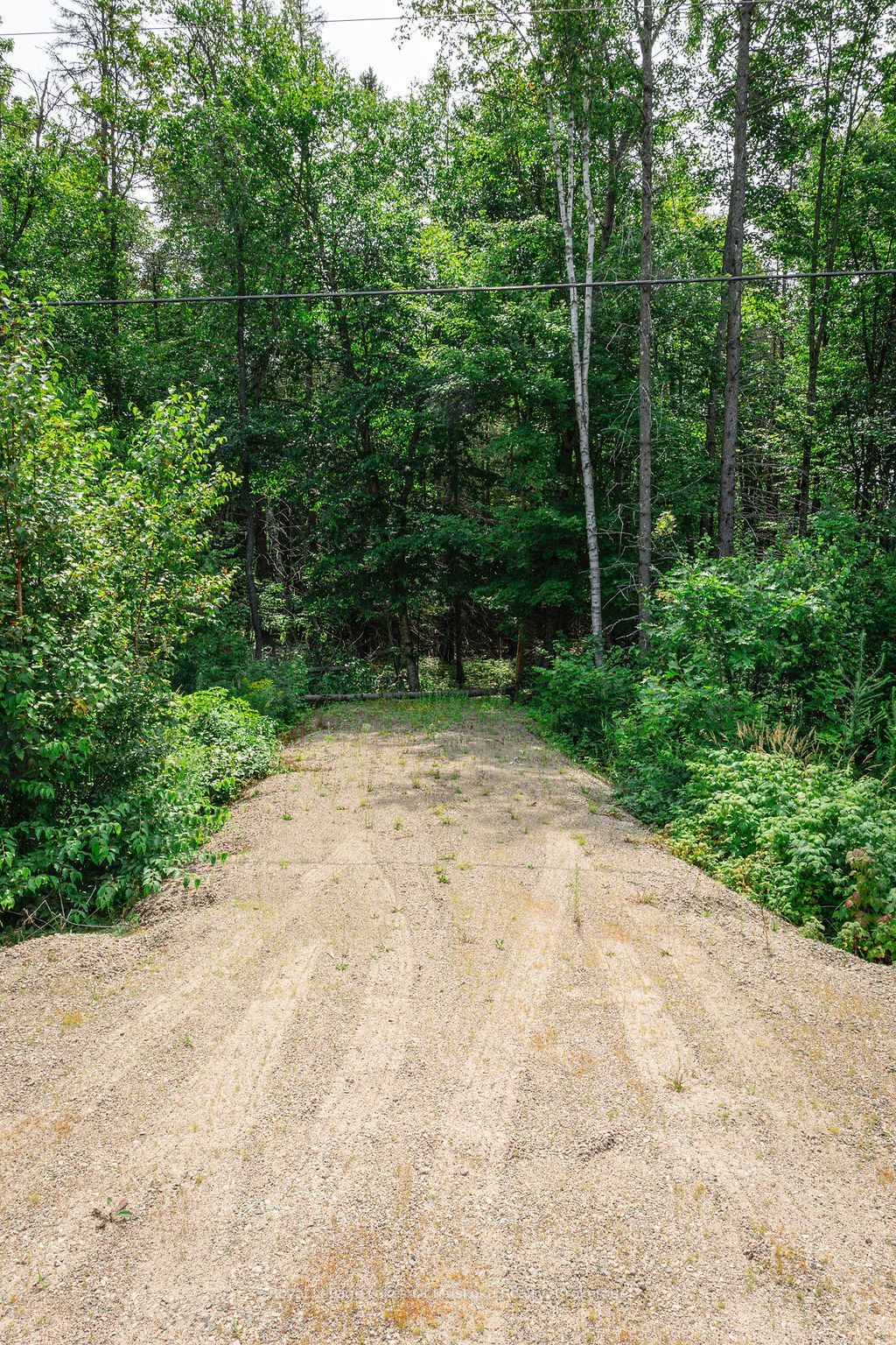 167 North Pickerel Lake Road, Armour, ON P0A 1C0 photo 2