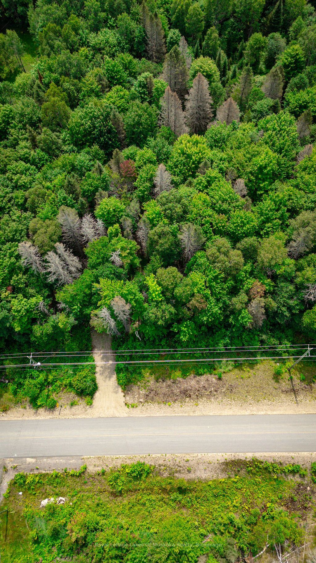 167 North Pickerel Lake Road, Armour, ON P0A 1C0 photo 3