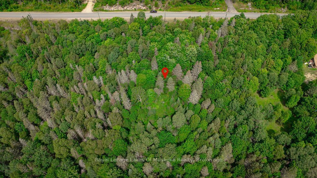 167 North Pickerel Lake Road, Armour, ON P0A 1C0 photo 4