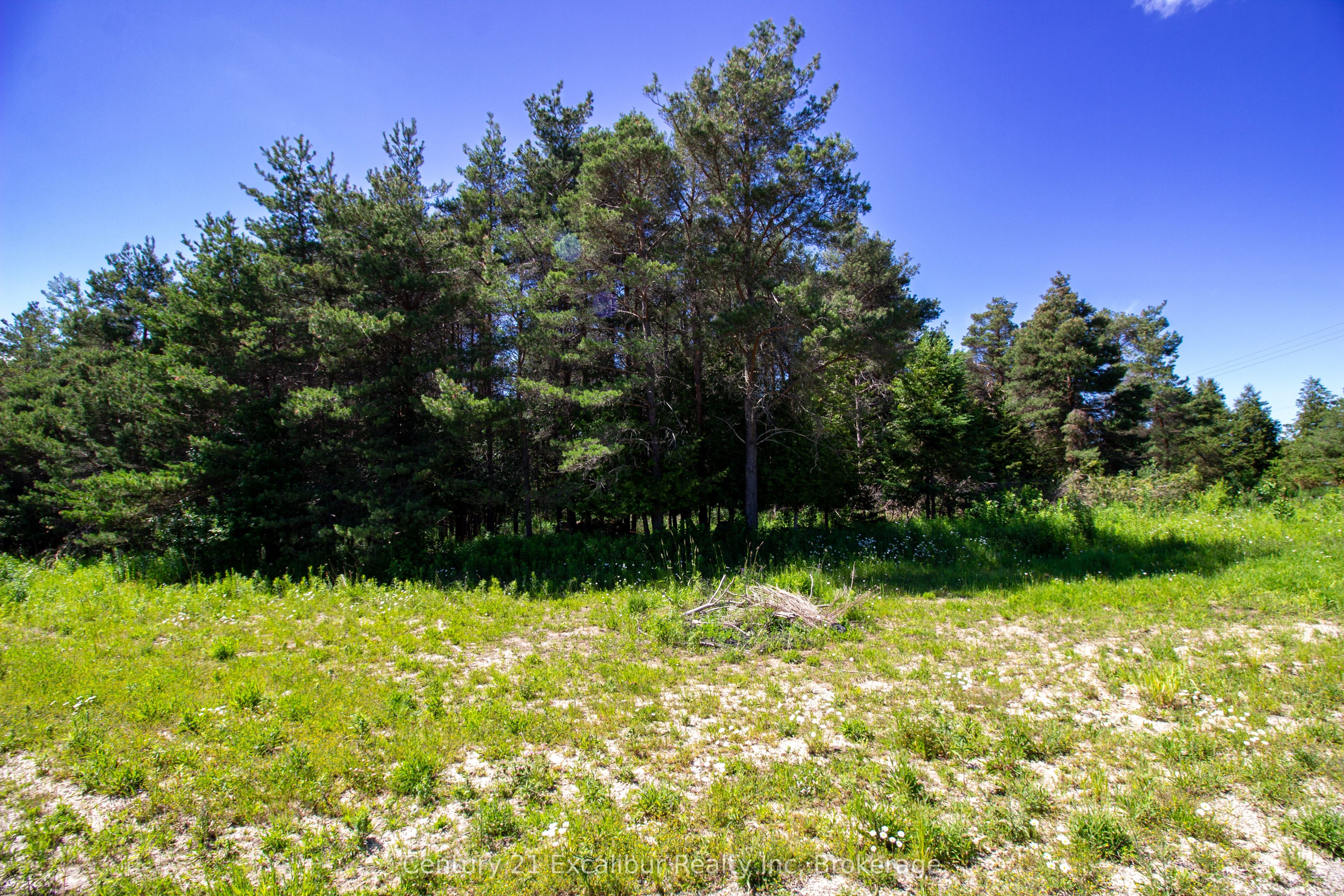 6382 Fifth Line, Centre Wellington, ON N1M 2W5 photo 5
