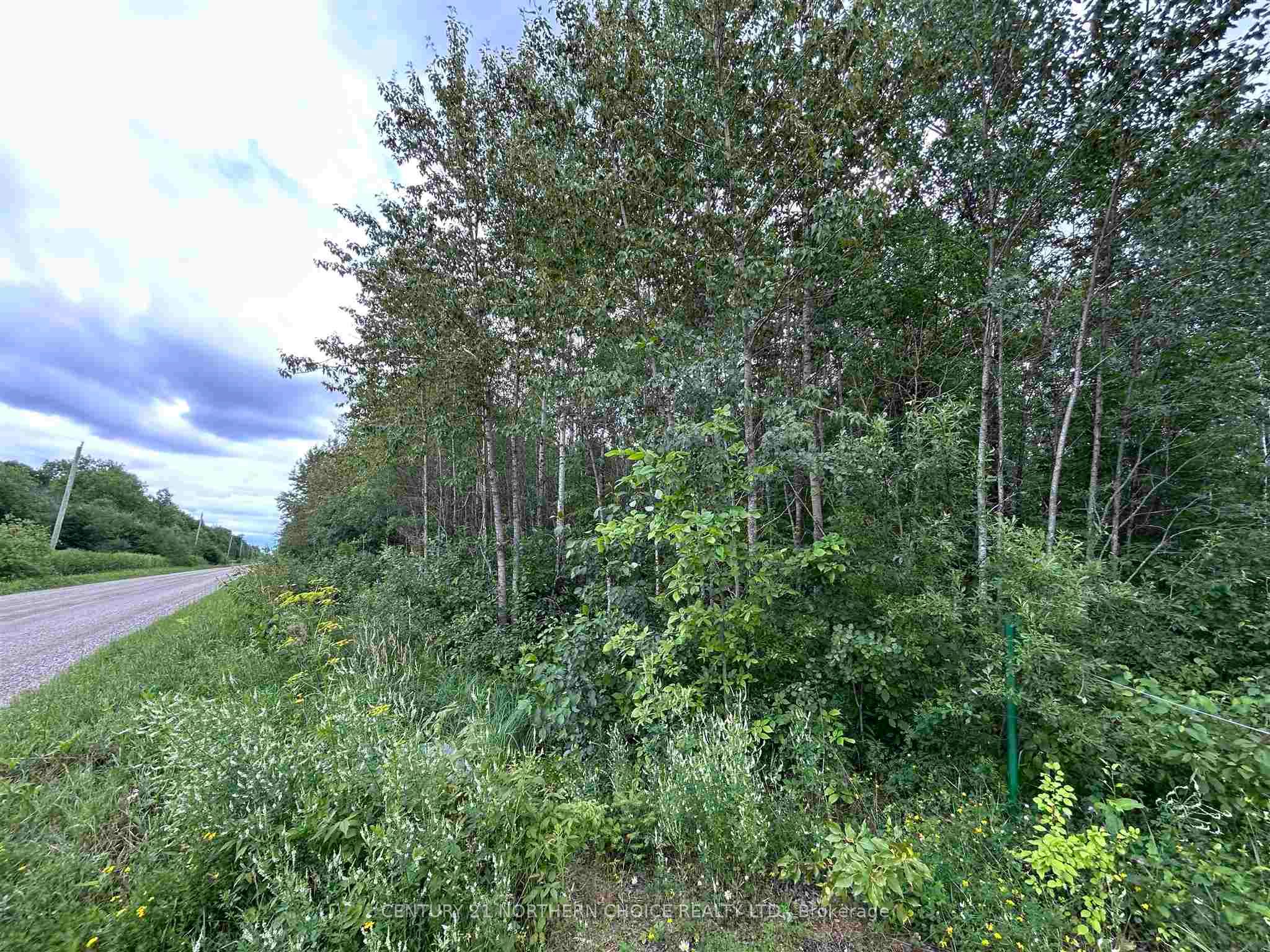 905 Frog Creek Road, Alberton, ON P9A 3M2 photo 3