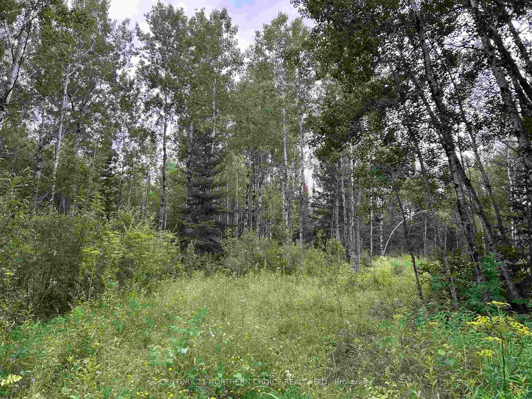 905 Frog Creek Road, Alberton, ON P9A 3M2 photo 4