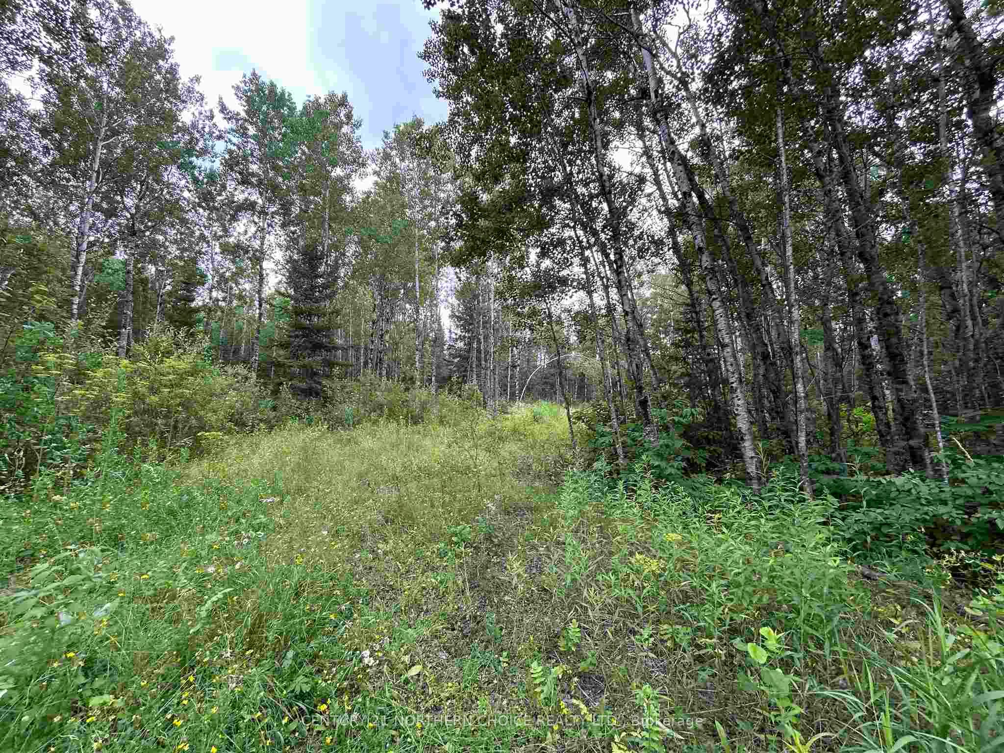 905 Frog Creek Road, Alberton, ON P9A 3M2 photo 5