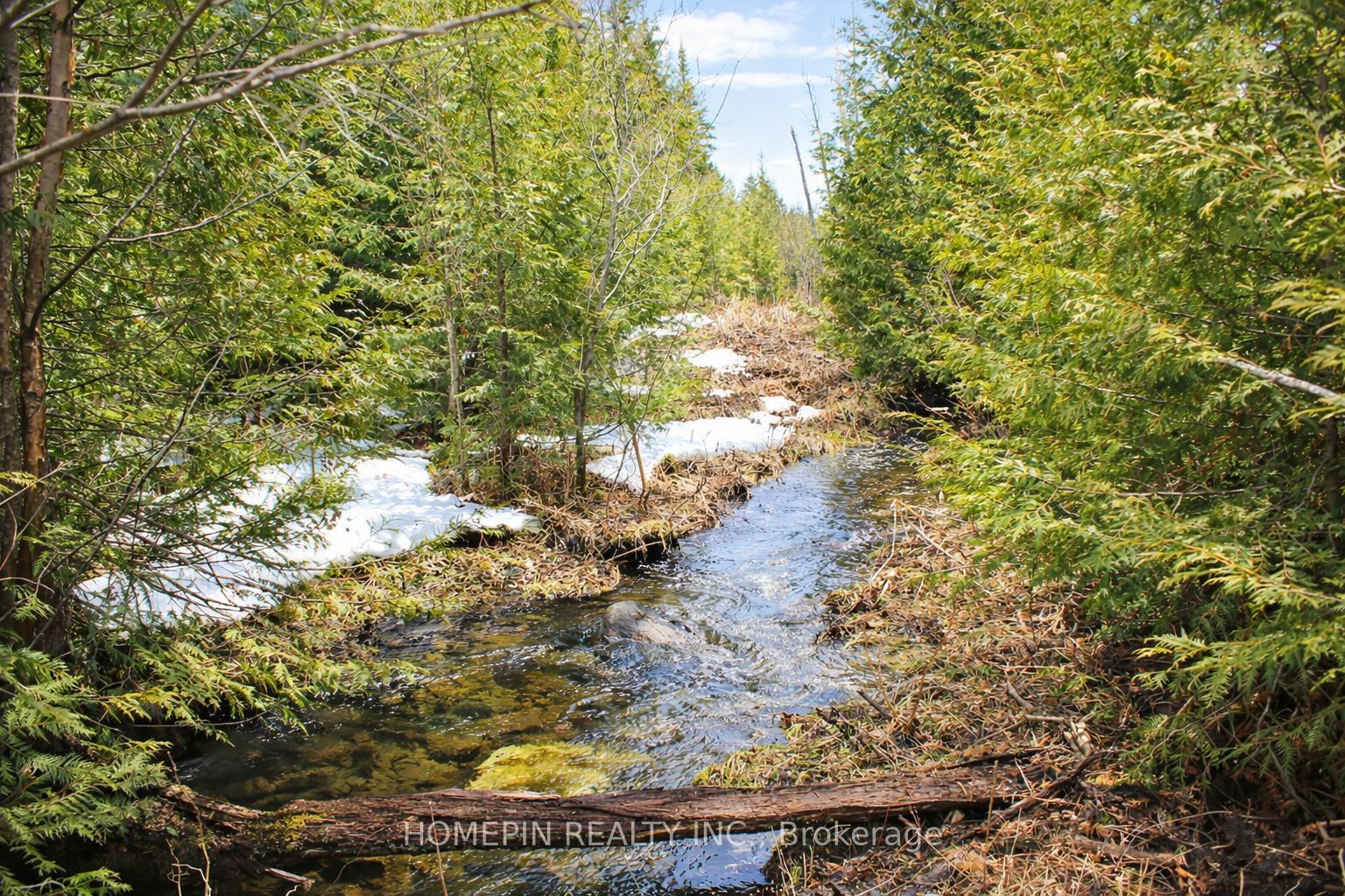 673 Buckshot Lake Road, Addington Highlands, ON K0H 1K0 photo 4