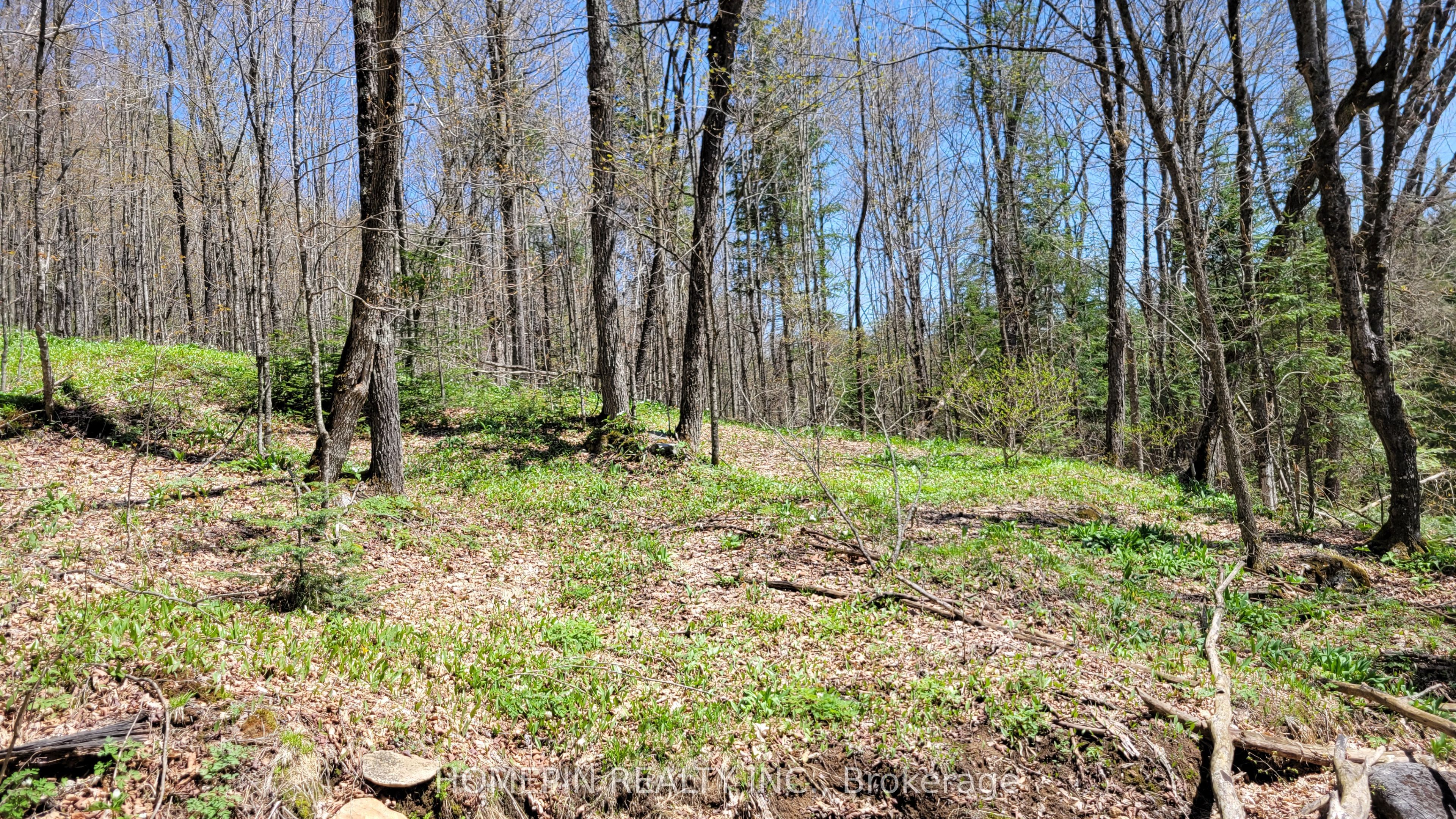 673 Buckshot Lake Road, Addington Highlands, ON K0H 1K0 photo 5