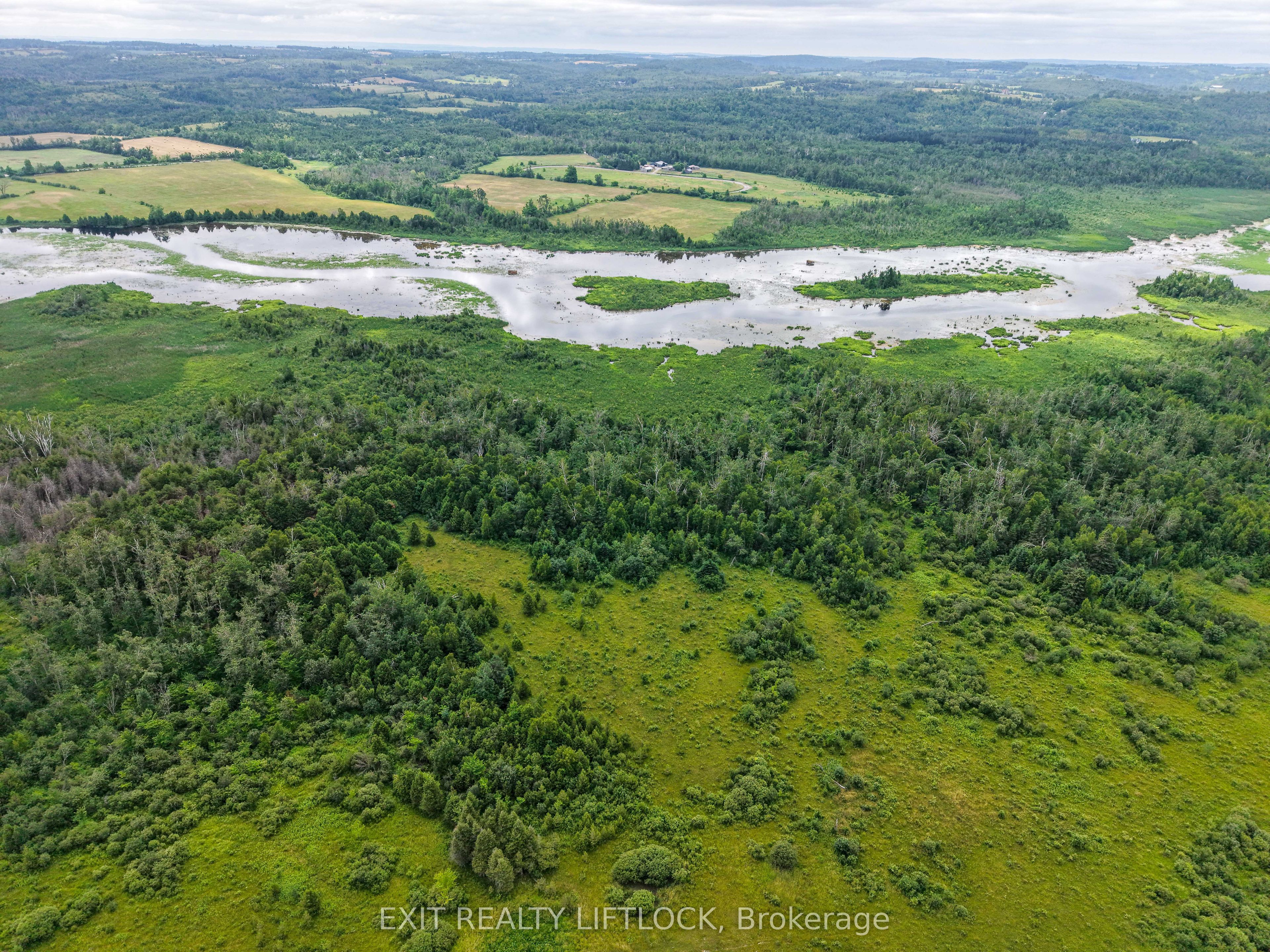 3756 Hwy 7, Kawartha Lakes, ON K0L 2W0 photo 5