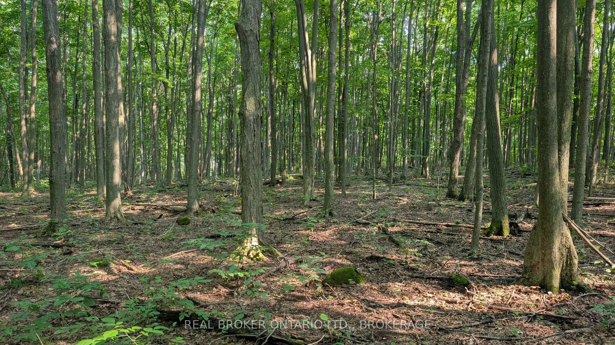 Lot Concession 10 Road, South Glengarry, ON K0B 1H0 photo 2