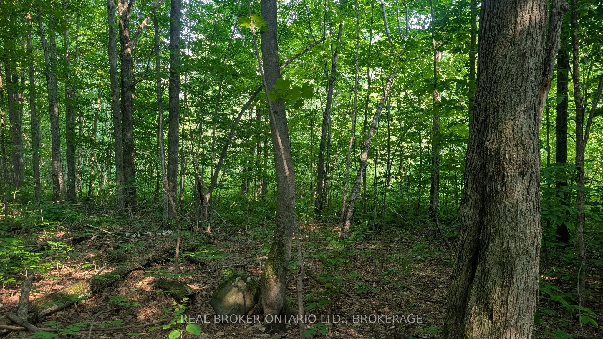 Lot Concession 10 Road, South Glengarry, ON K0B 1H0 photo 3