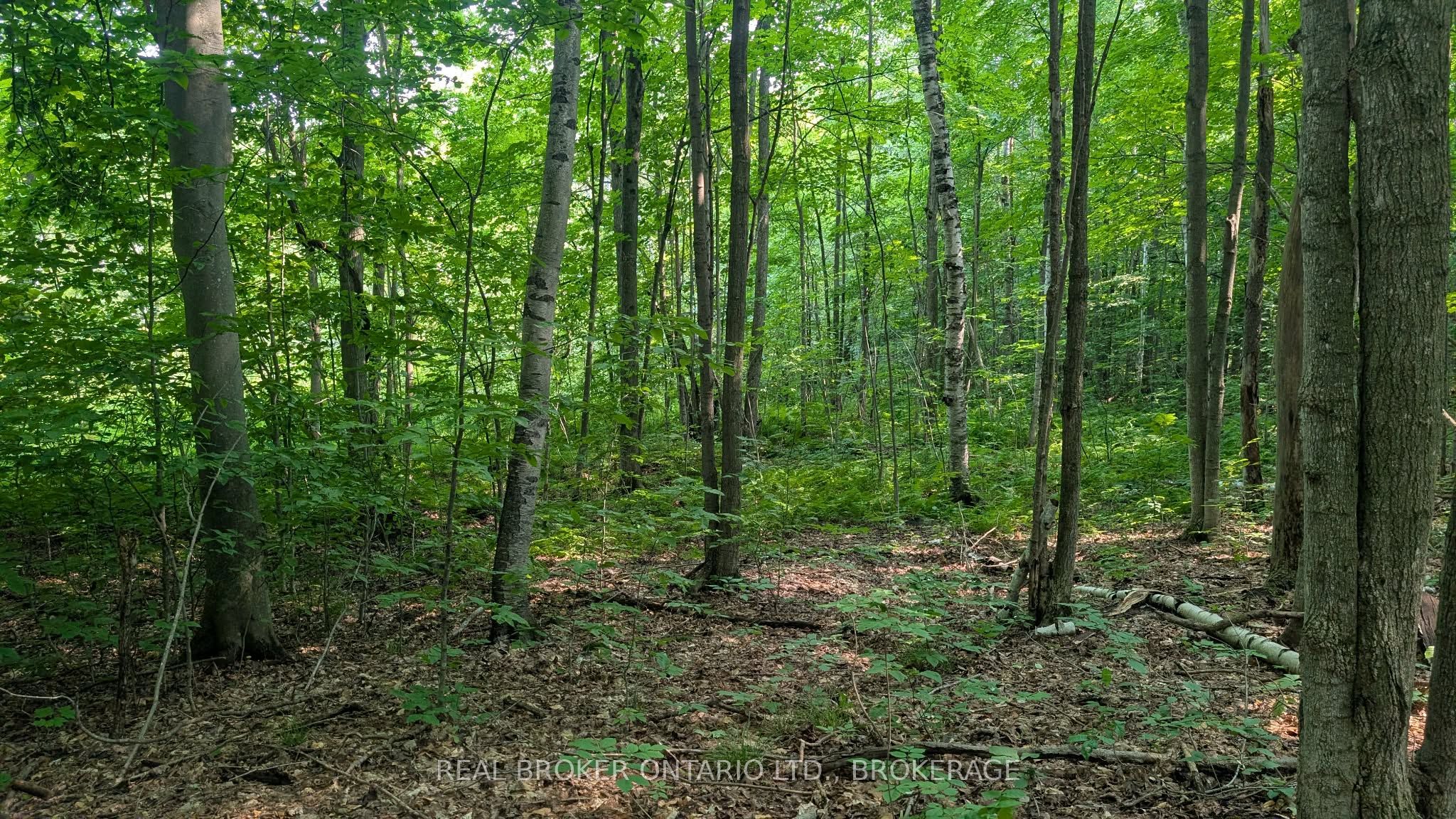 Lot Concession 10 Road, South Glengarry, ON K0B 1H0 photo 4