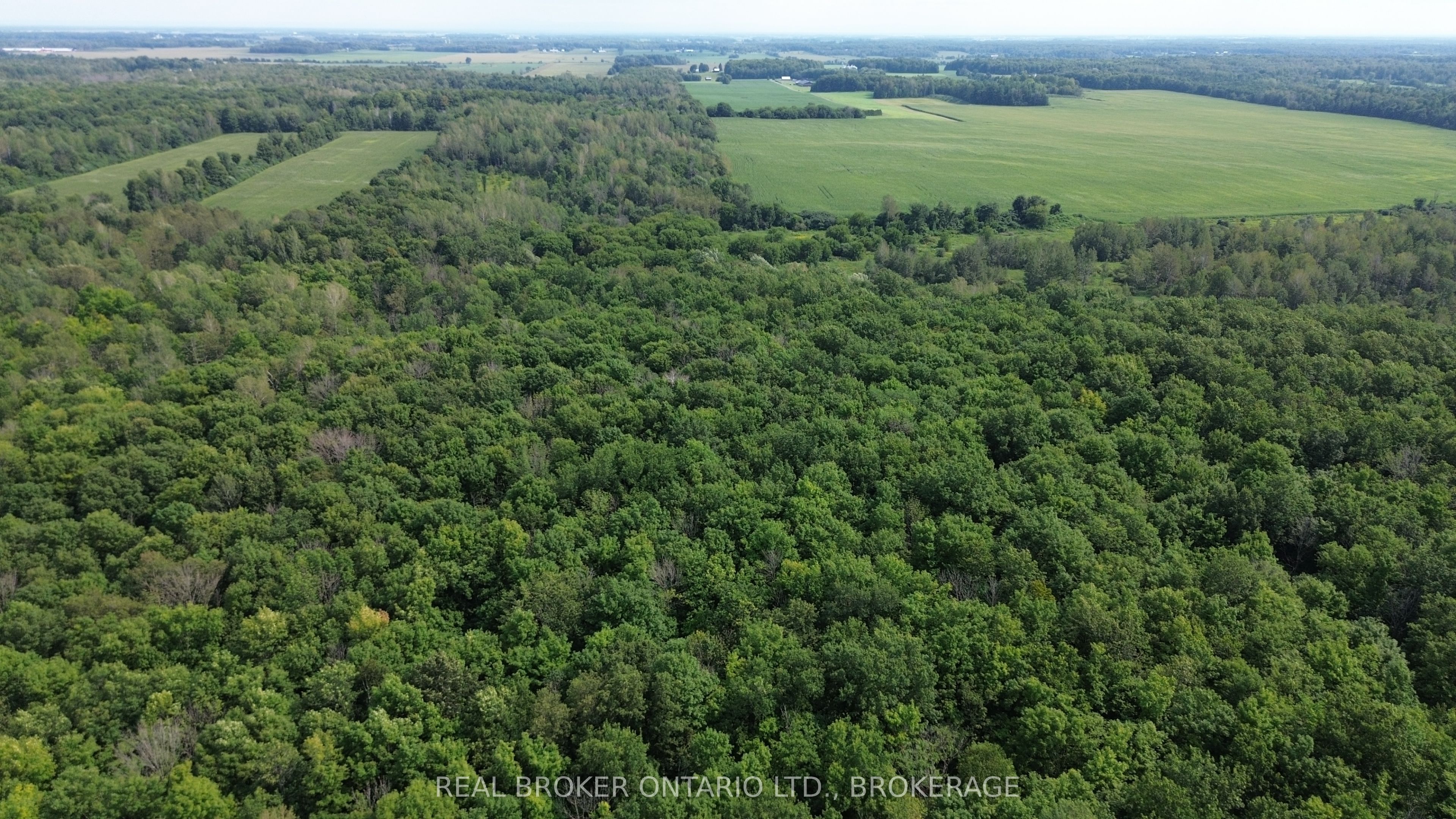 Lot Concession 10 Road, South Glengarry, ON K0B 1H0 photo 5