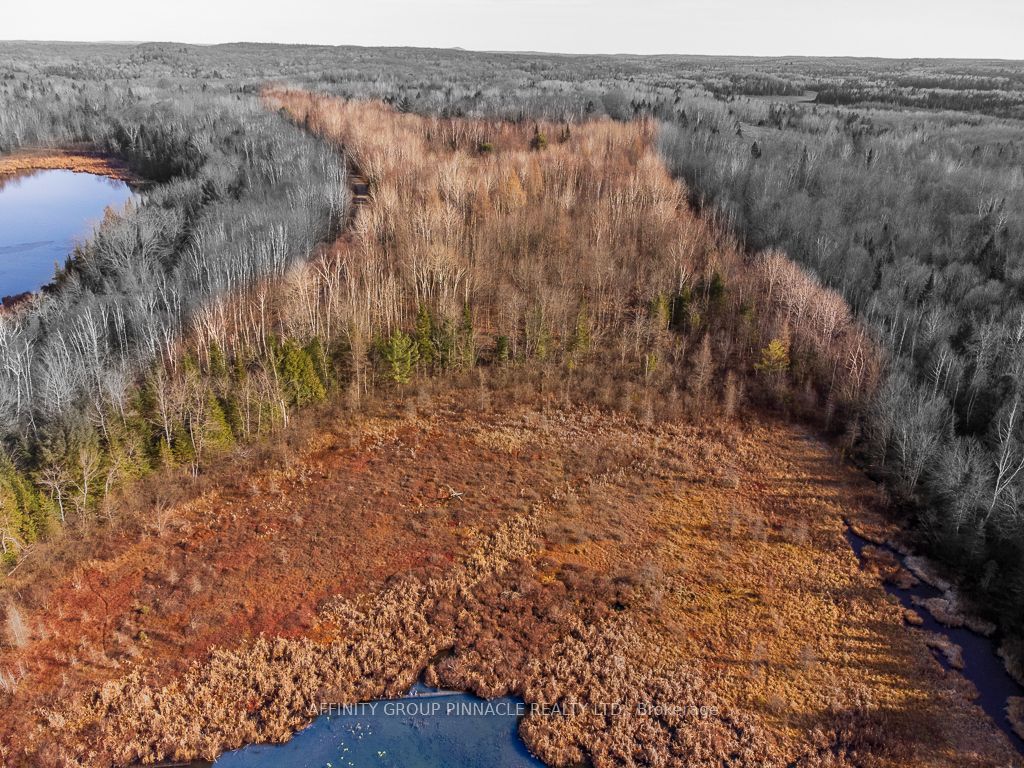 Lot 8 Comfort Drive, Highlands East, ON K0M 1R0 photo 4