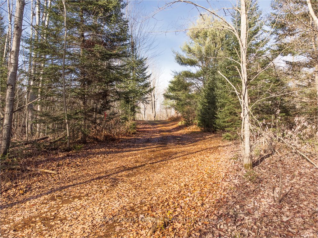 Lot 8 Comfort Drive, Highlands East, ON K0M 1R0 photo 5
