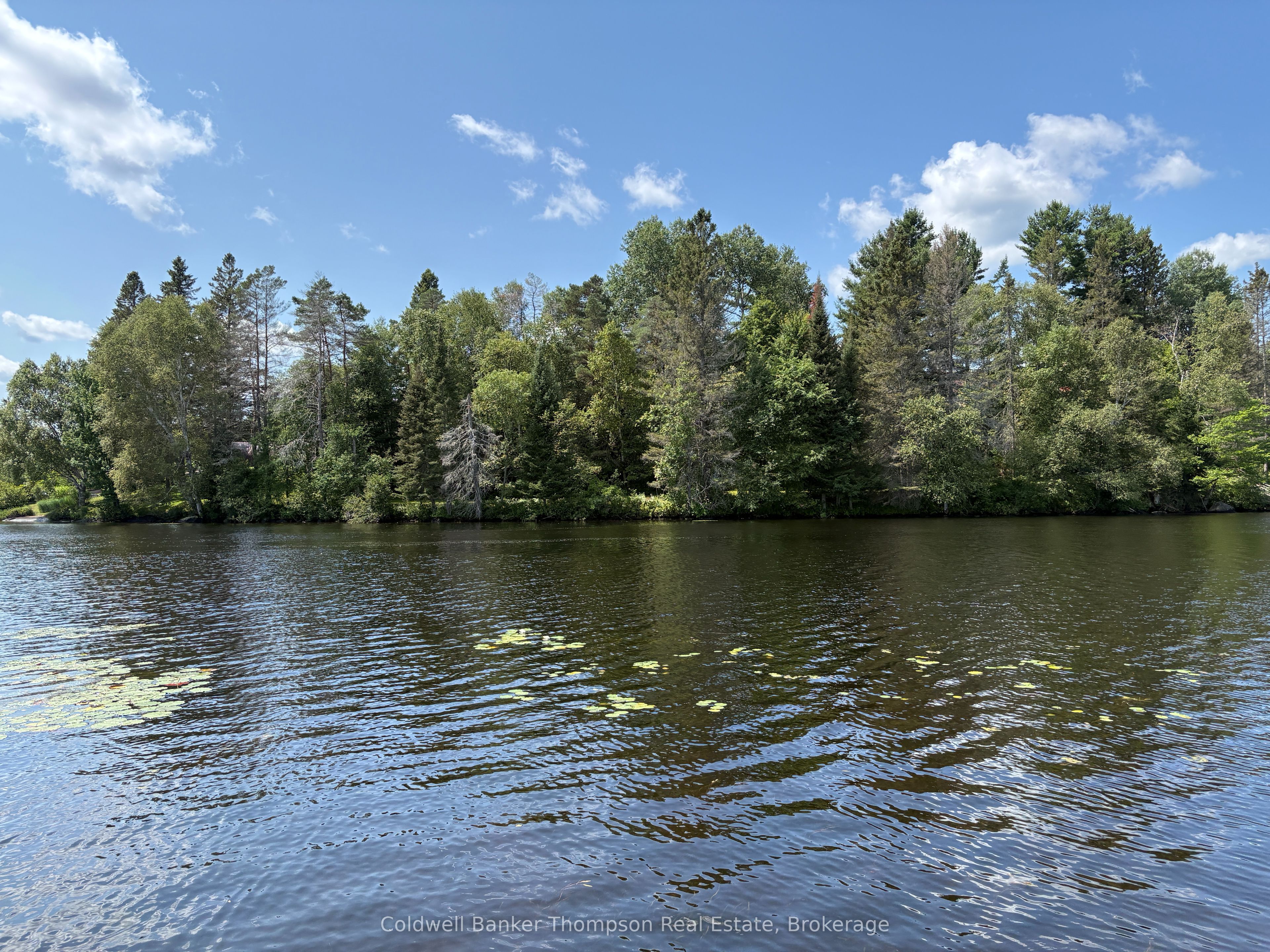 109 Patrick Street, Magnetawan, ON P0A 1P0 photo 3