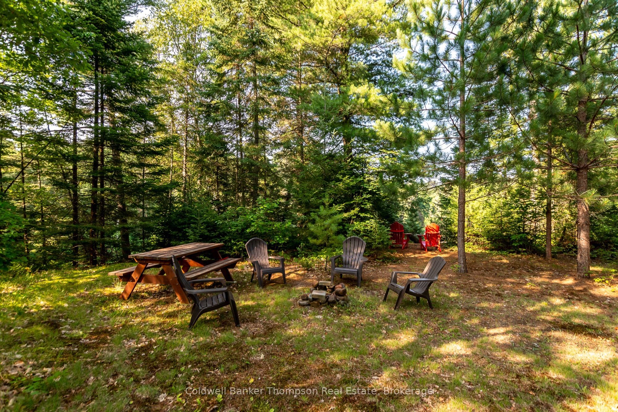 56 Hildes Lane, Huntsville, ON P1H 2J4 photo 3