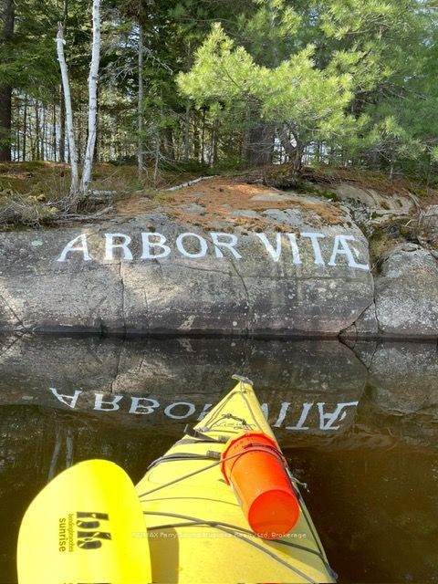 24 Arbor Vitae Island, Whitestone, ON P0A 1G0 photo 4
