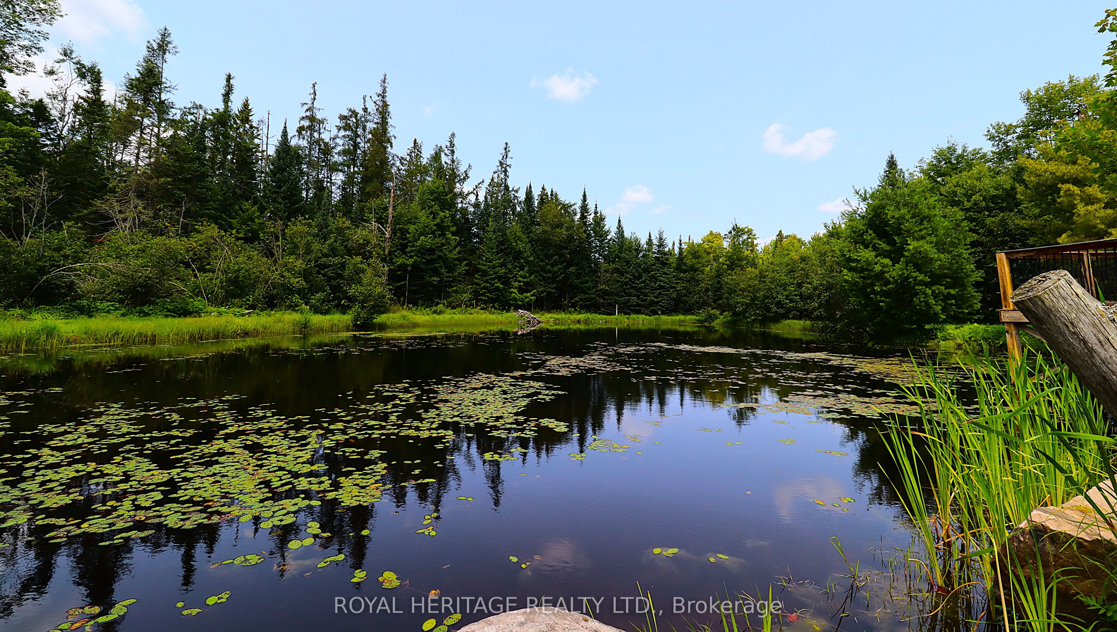 1118 Dutch Line Road E, Trent Lakes, ON K0M 2A0 photo 4