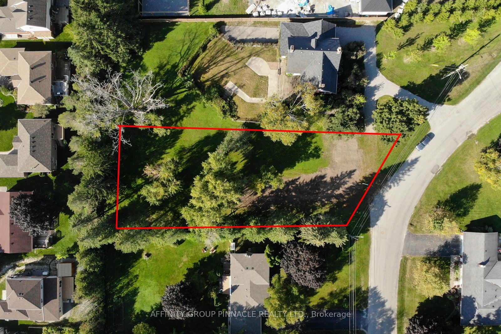 21 David Drive, Kawartha Lakes, ON K9V 5G7 photo 5