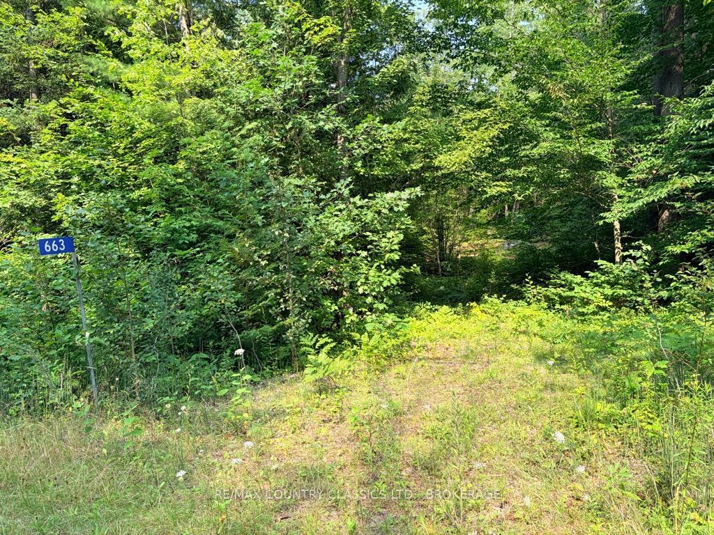 663 Skootamatta Lake Road, Frontenac, ON K0H 1K0 photo 2