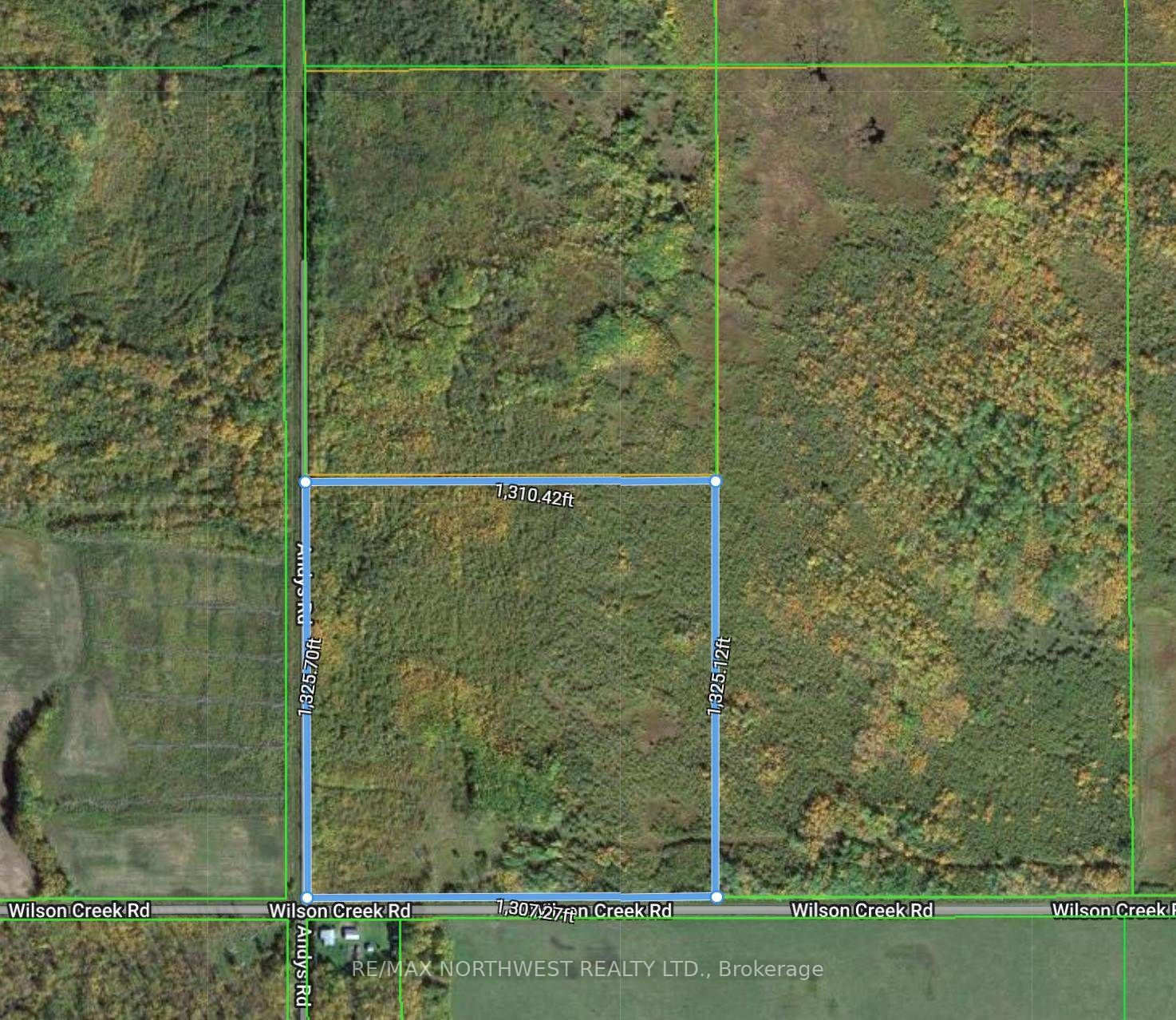 SEC 19 WILSON CREEK RD, Dawson, ON P0W 1L0 photo 4