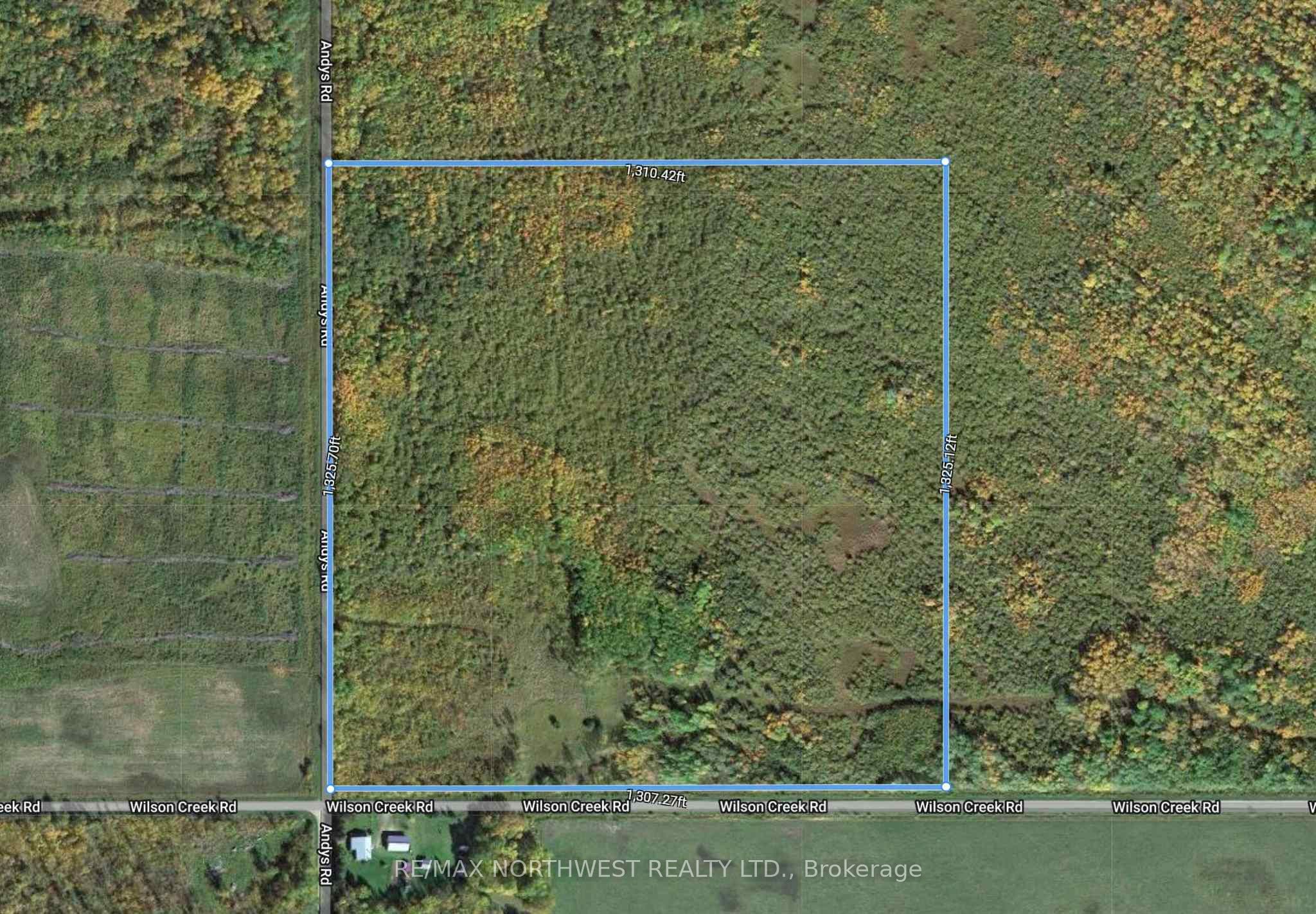 SEC 19 WILSON CREEK RD, Dawson, ON P0W 1L0 photo 5