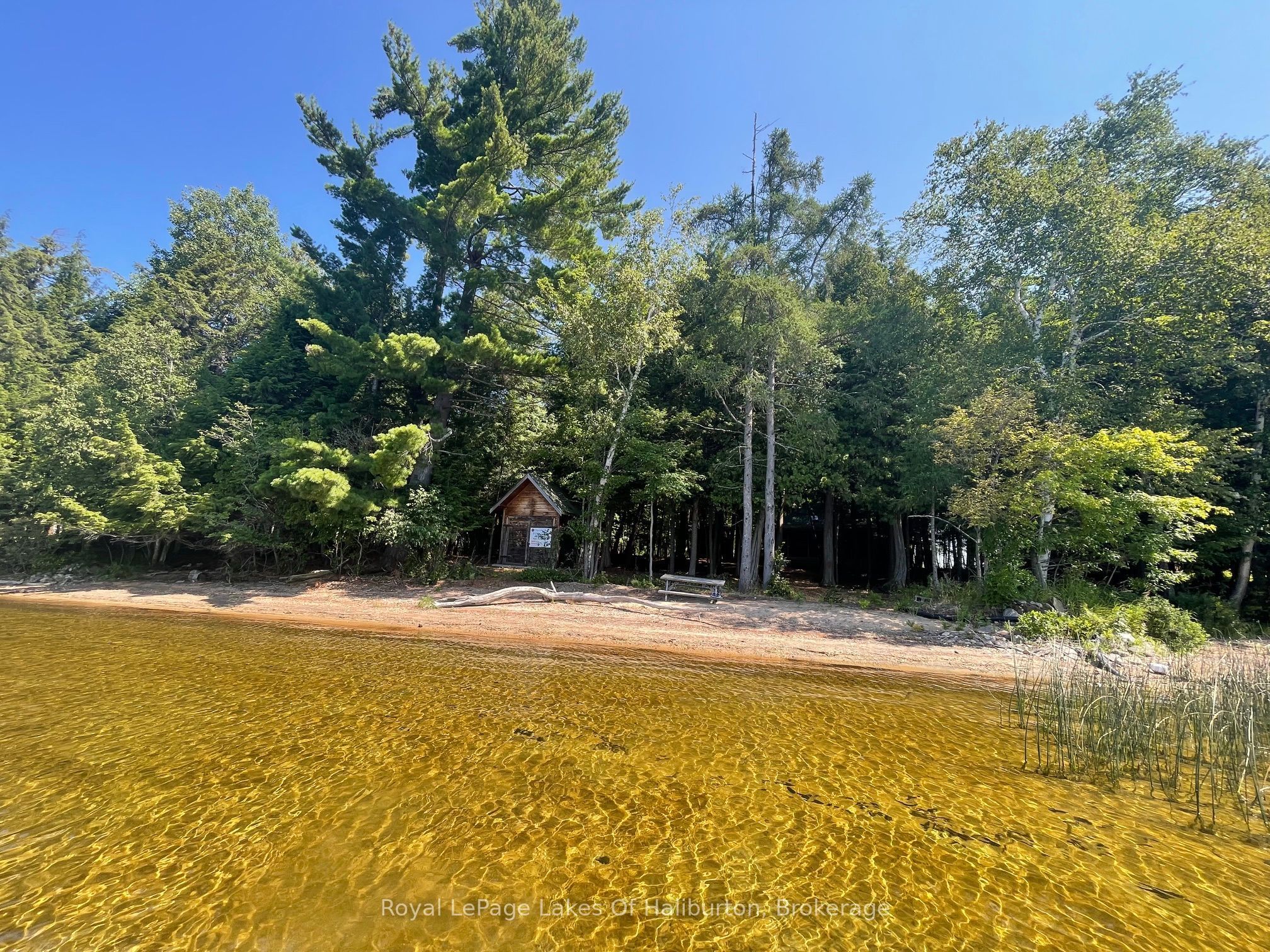 1046 Placid Lane, Algonquin Highlands, ON K0M 1S0 photo 4
