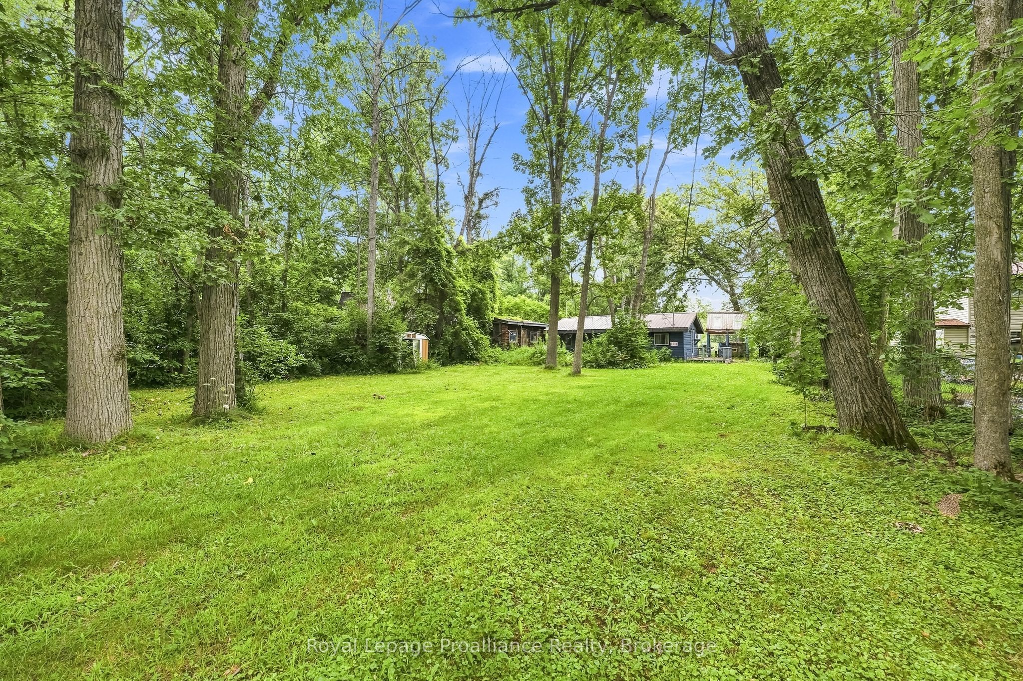43 Laguna Road, Trent Hills, ON K0L 1L0 photo 5