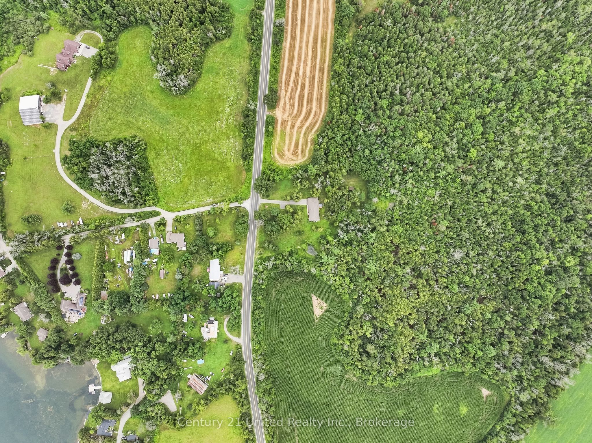 1563 Selwyn Road, Selwyn, ON K9J 6X5 photo 3