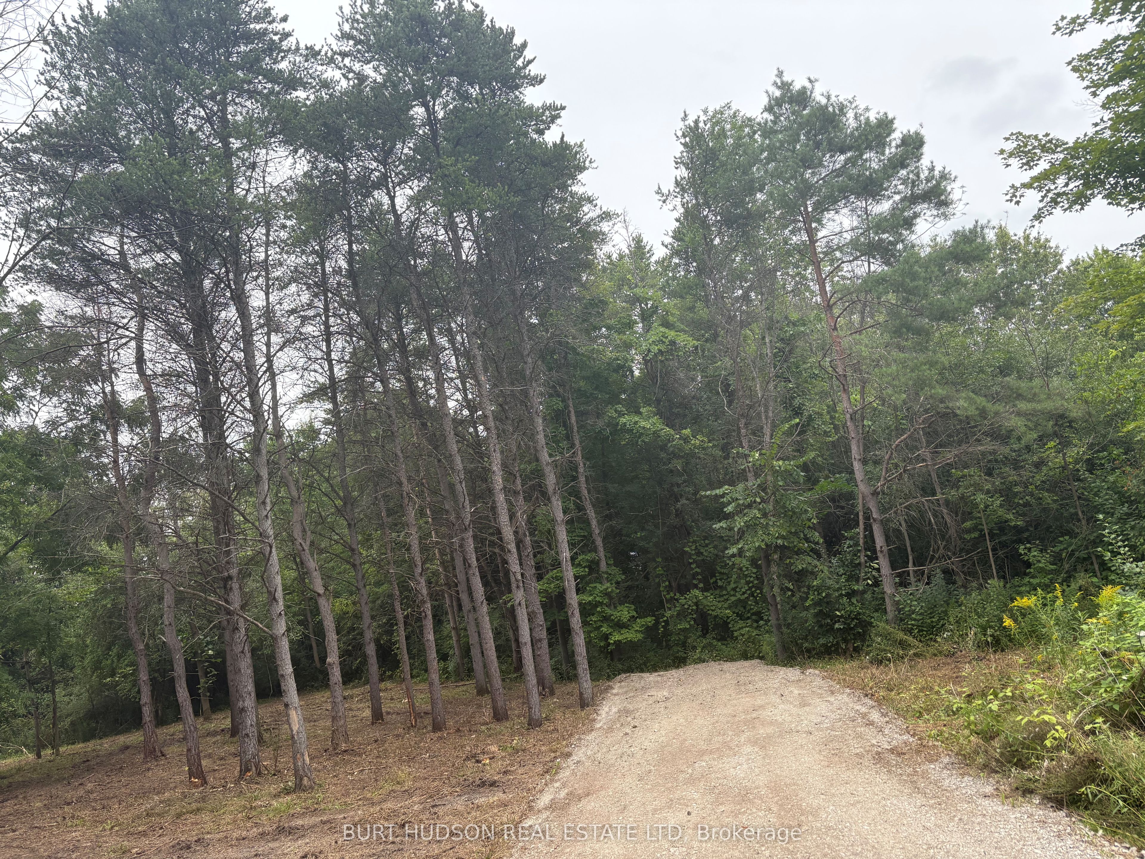 00 Mother Barnes Road, Elizabethtown-Kitley, ON K0E 1A0 photo 2