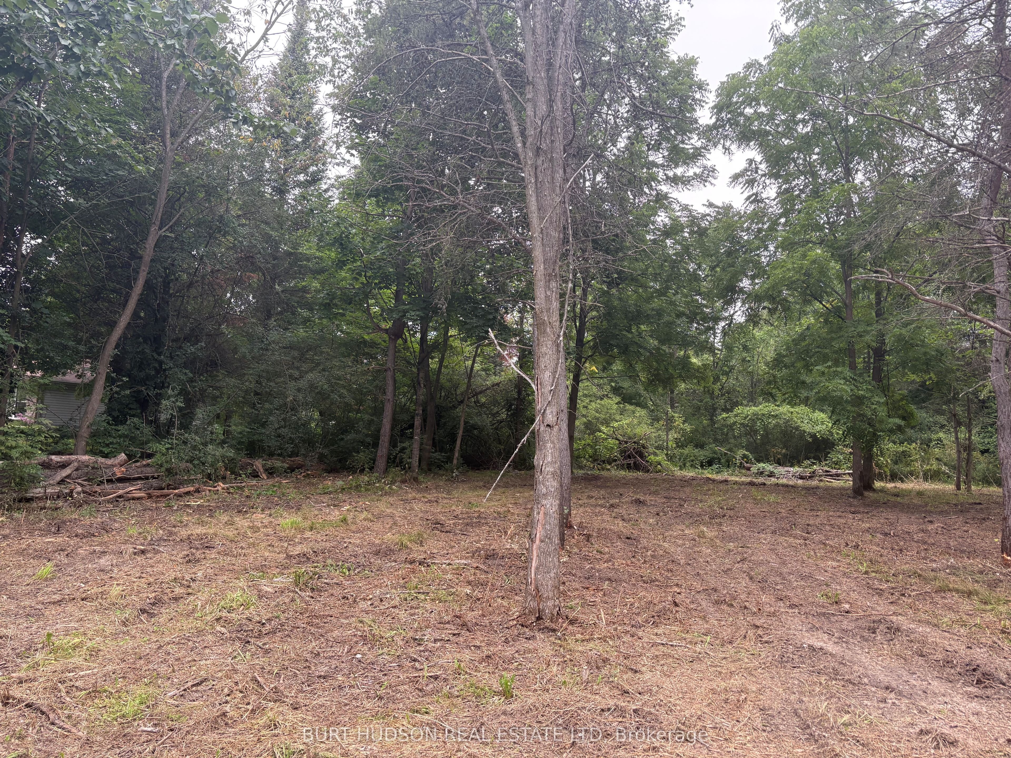 00 Mother Barnes Road, Elizabethtown-Kitley, ON K0E 1A0 photo 3
